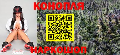 стафф Усть-Джегута